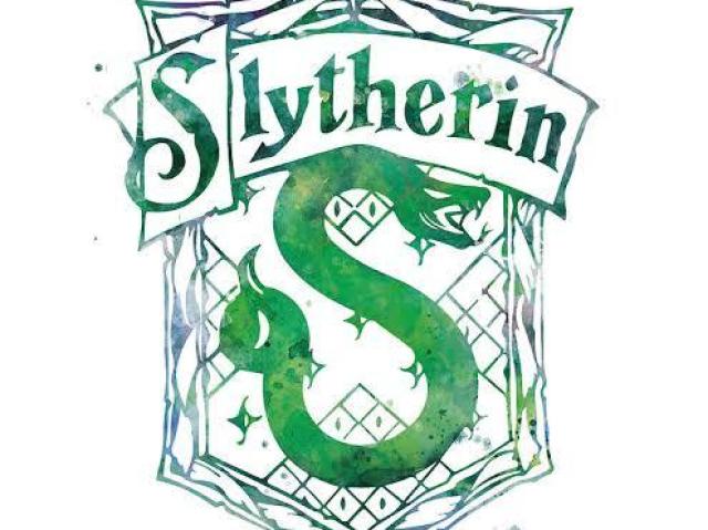 Slytherin 💚🤗