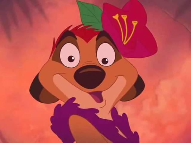 75% Timão e 25% Pumba