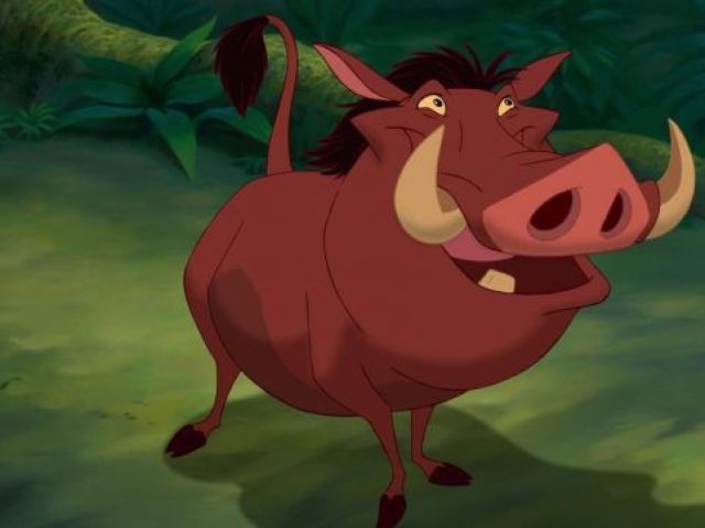 75% Pumba e 25% Timão