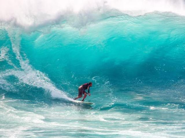 Surf