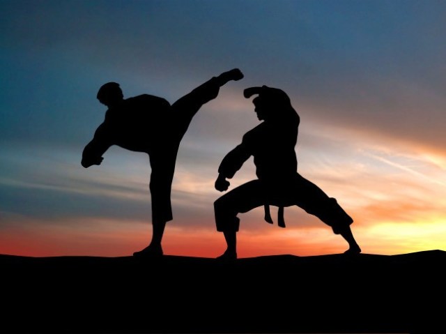 Artes Marciais