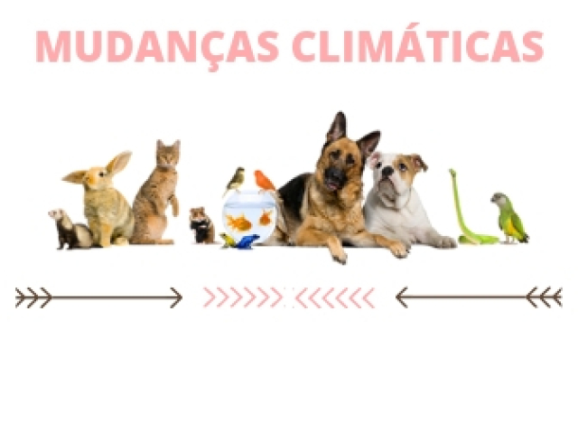 Você sabe o quanto os animais sofrem com as mudanças climáticas?