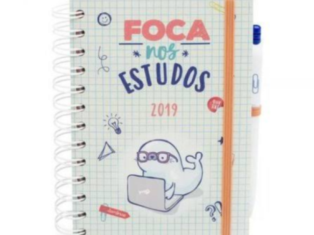 Foca nos estudos