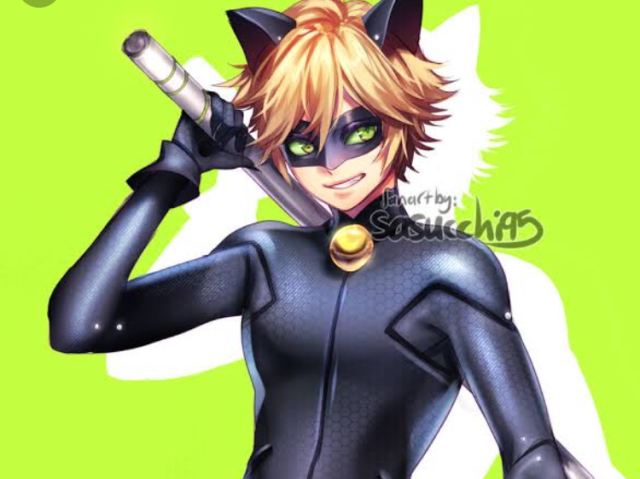 Cat noir