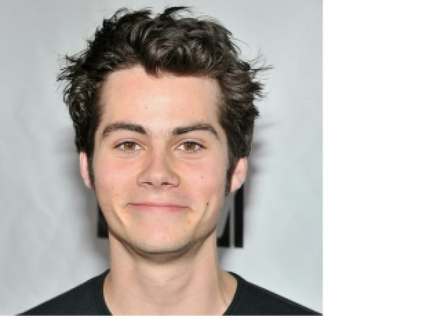 Stiles stinsliski