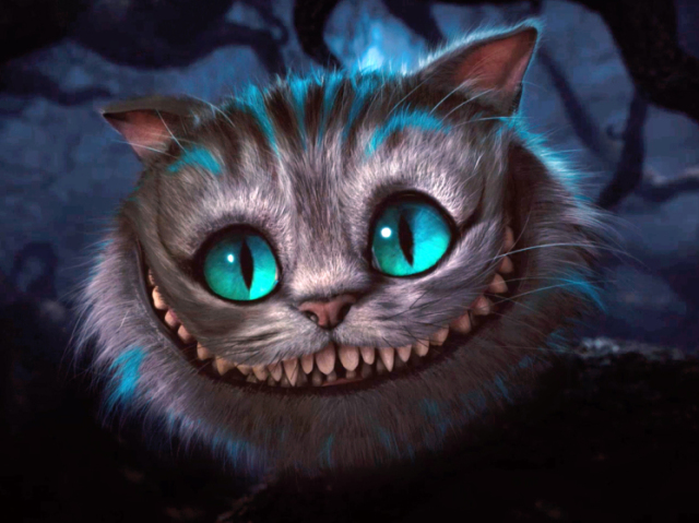 Gato