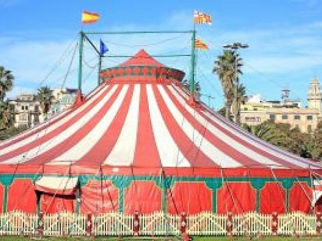 Circo