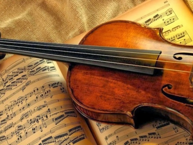 Violino