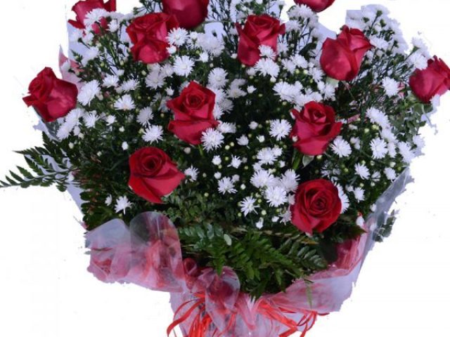 Rosas vermelhas
Com lindos flocos brancos