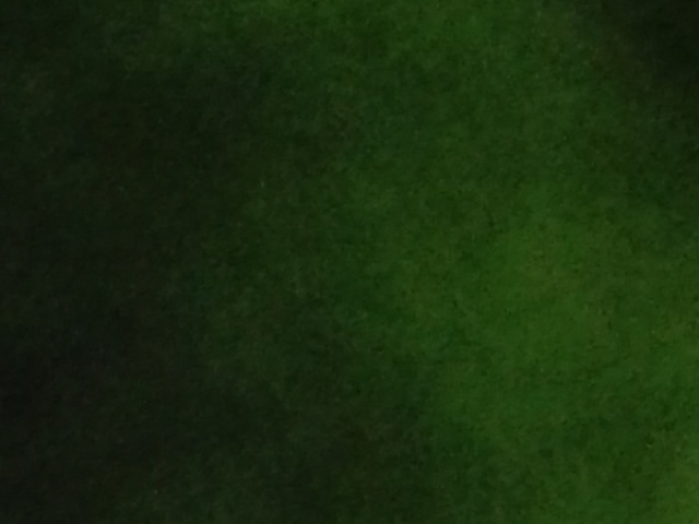 Verde coco