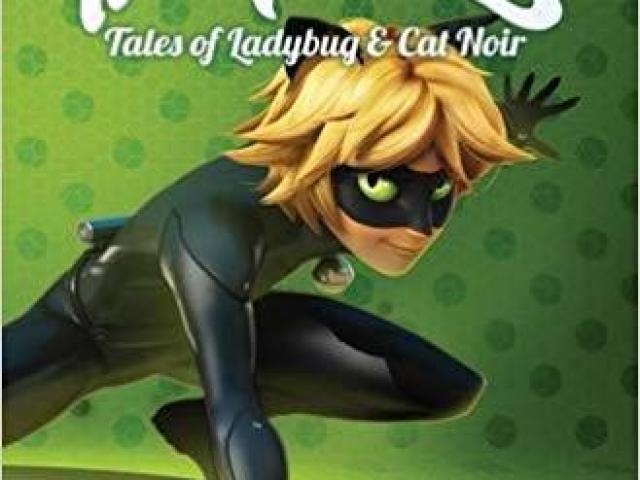 chat noir/ Adrien