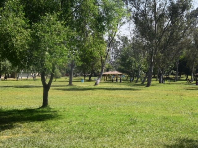 Parque