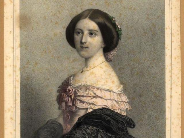 D.Estefânea