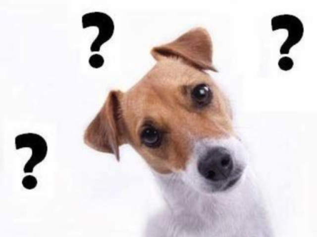 Não sabe muito sobre animais
