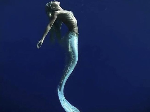 Sereia