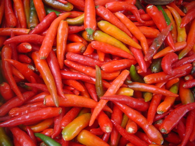 Pimenta
