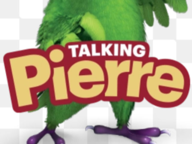 TALKING PIERRE