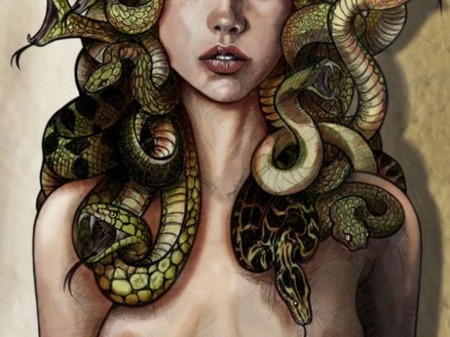 medusa