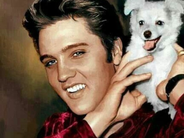 Elvis Presley