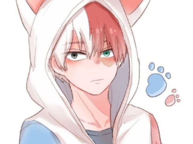 Todoroki Shoto