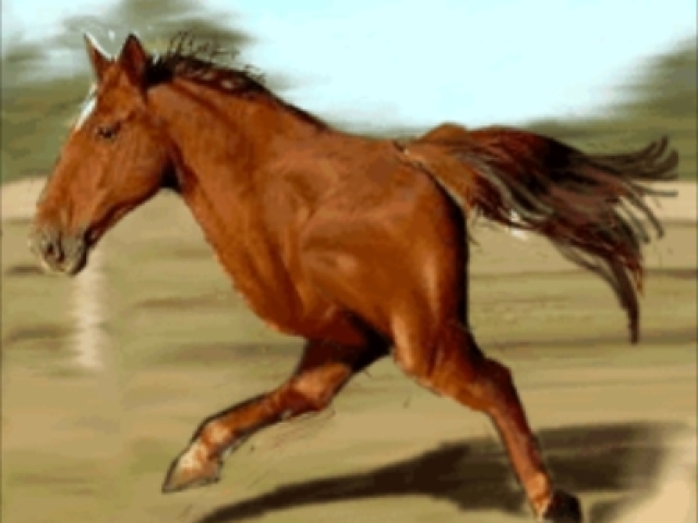 Vi um cavalo de duas pernas em cima da minha cama