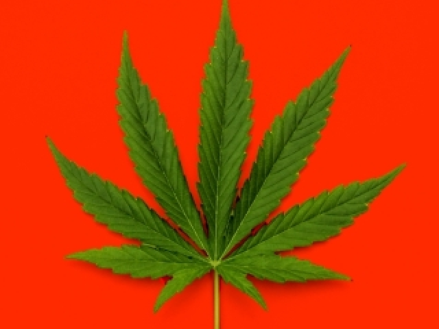 NAO LEMBRO KSKSKSKS
CHEIRAR MACONHA CAUSA PERDA DE MEMORIA