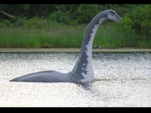 O monstro do lago ness misturado com chupa cabra e o boto cor de rosa