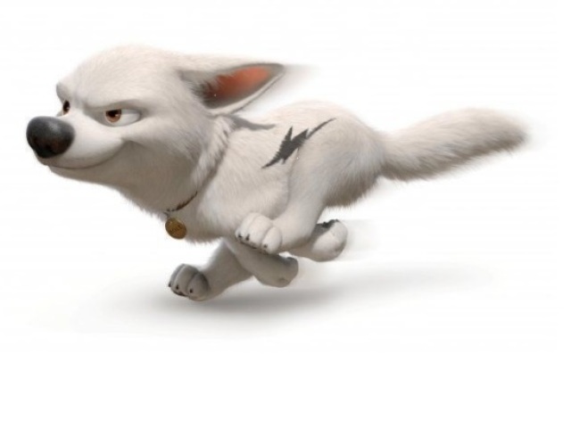 Bolt