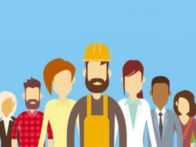 Em qual área você irá trabalhar?