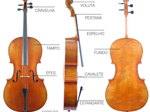 Violoncelo