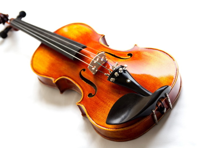 Violino