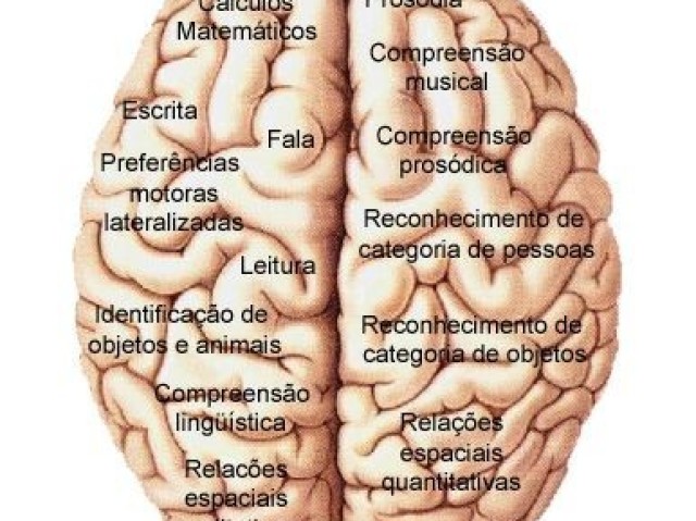 Neuro