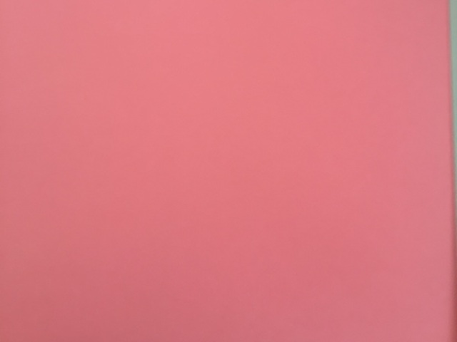 Rosa pastel