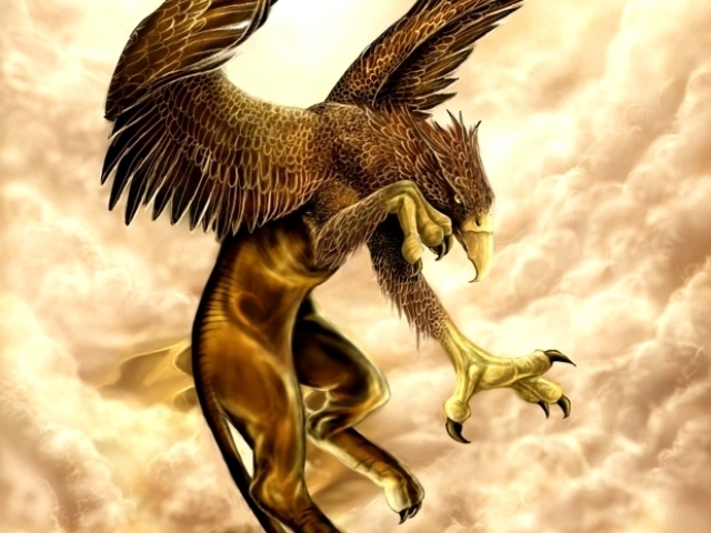 Grifo