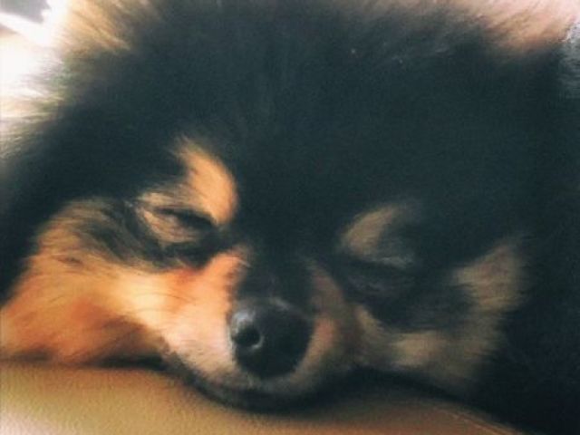 Yeontan