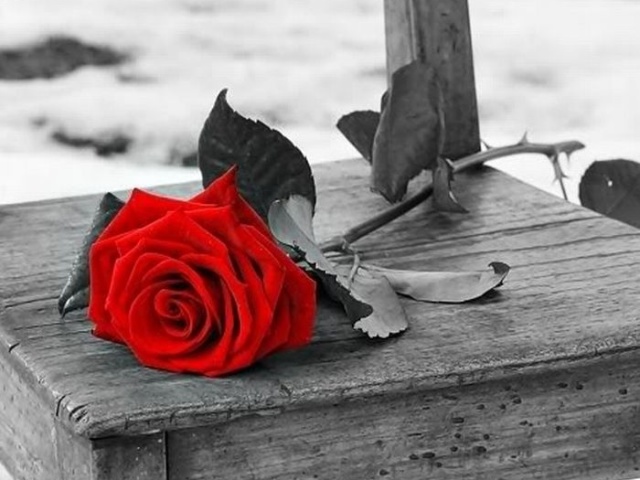 Vermelho