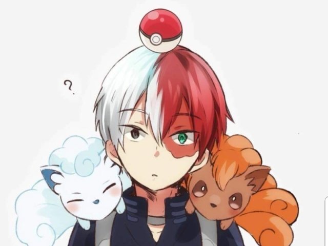 todoroki ♡♡