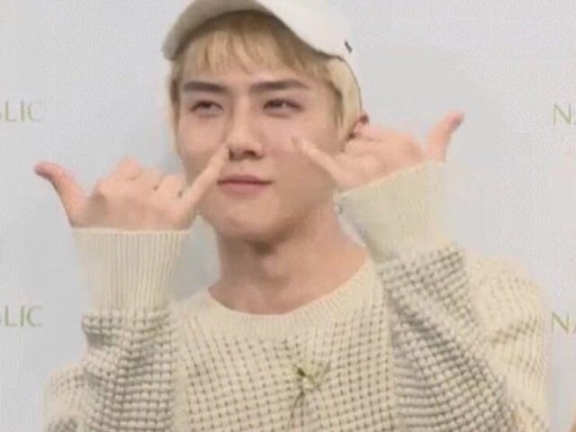 Você é realmente uma EXO-L?