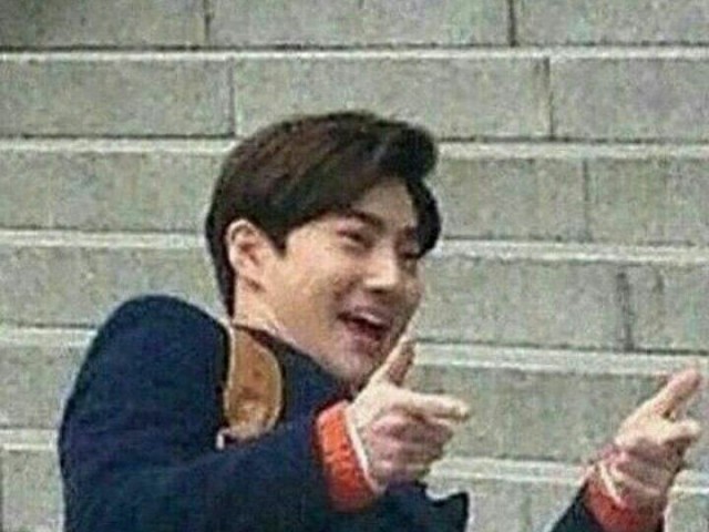 Você é realmente uma EXO-L?