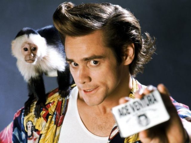 Ace Ventura - Ace Ventura