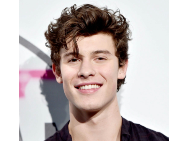 Você conhece Shawn Mendes?