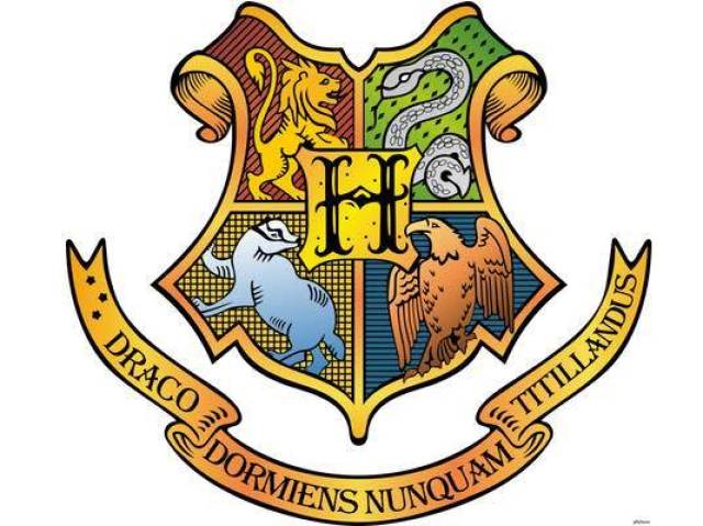 Qual a sua casa de Hogwarts ? ❤💚💛💙