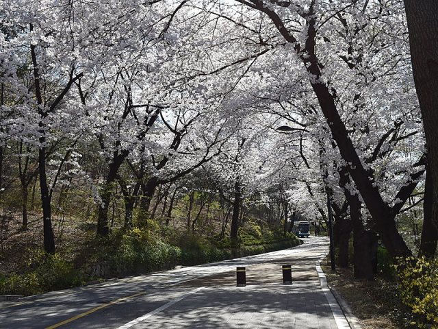 Namsan - Seoul