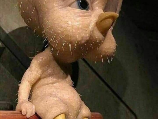 Não esta preparado