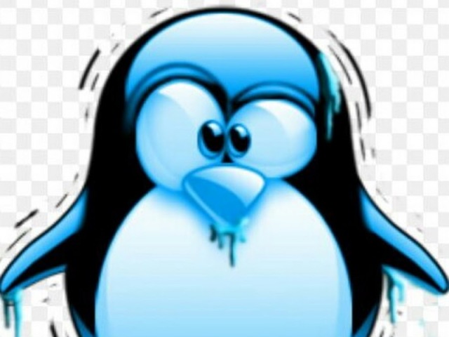 PINGUIN CONGELADO