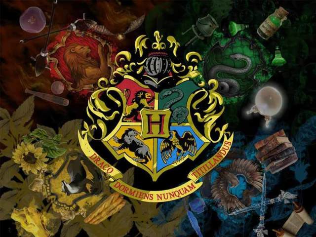 Qual sua casa de hogwarts?