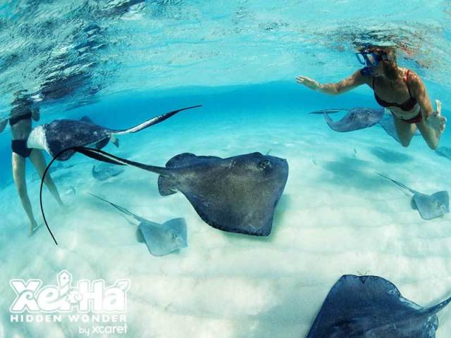 Passeio Ecológico pelo caribe para estudo