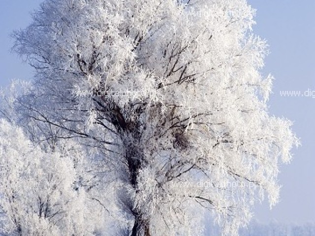 Inverno