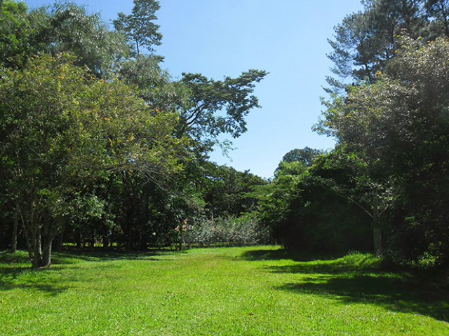 No parque fazer um piquenique