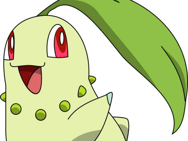 Chikorita